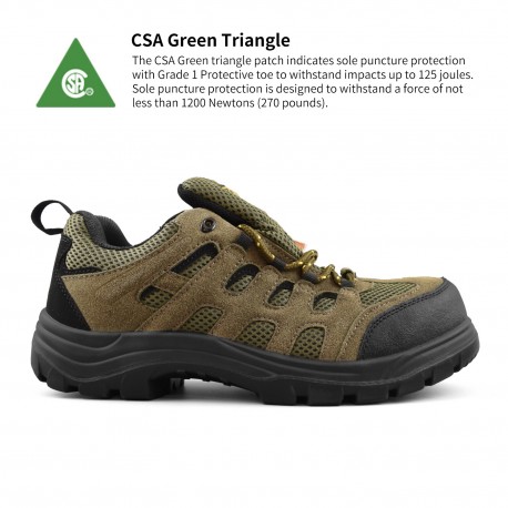 CSA Green triangle